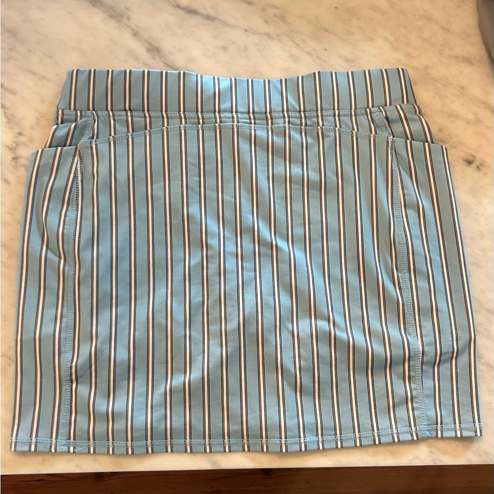 Belyn Key Sky Blue Striped skirt